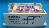 SKBZ28-04的图片